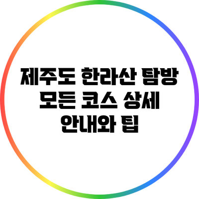 제주도 한라산 탐방: 모든 코스 상세 안내와 팁