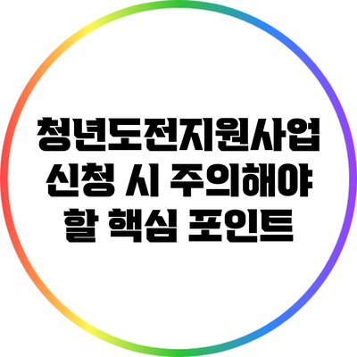 청년도전지원사업: 신청 시 주의해야 할 핵심 포인트