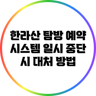 한라산 탐방 예약 시스템 일시 중단 시 대처 방법