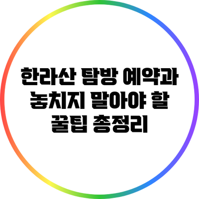 한라산 탐방 예약과 놓치지 말아야 할 꿀팁 총정리