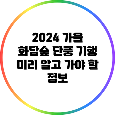 2024 가을 화담숲 단풍 기행: 미리 알고 가야 할 정보