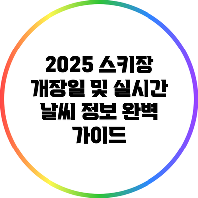 2025 스키장 개장일 및 실시간 날씨 정보 완벽 가이드