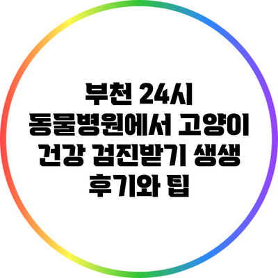 부천 24시 동물병원에서 고양이 건강 검진받기: 생생 후기와 팁