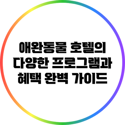 애완동물 호텔의 다양한 프로그램과 혜택 완벽 가이드