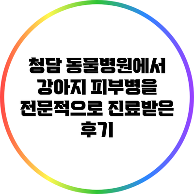 청담 동물병원에서 강아지 피부병을 전문적으로 진료받은 후기