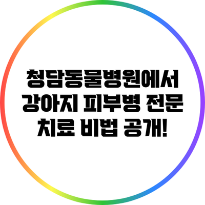 청담동물병원에서 강아지 피부병 전문 치료 비법 공개!