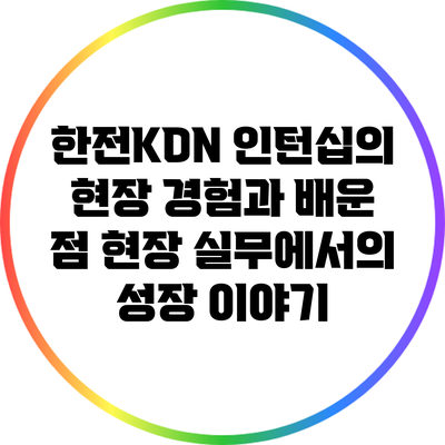한전KDN 인턴십의 현장 경험과 배운 점: 현장 실무에서의 성장 이야기