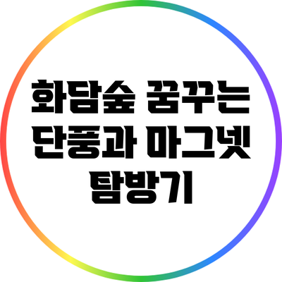 화담숲: 꿈꾸는 단풍과 마그넷 탐방기