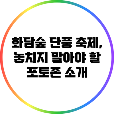 화담숲 단풍 축제, 놓치지 말아야 할 포토존 소개