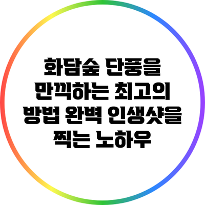화담숲 단풍을 만끽하는 최고의 방법: 완벽 인생샷을 찍는 노하우