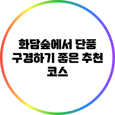 화담숲에서 단풍 구경하기 좋은 추천 코스