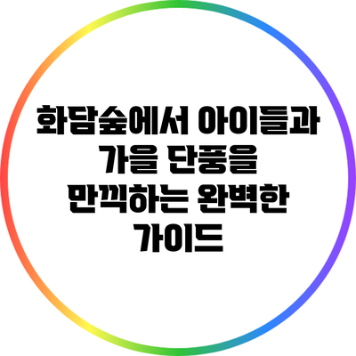 화담숲에서 아이들과 가을 단풍을 만끽하는 완벽한 가이드
