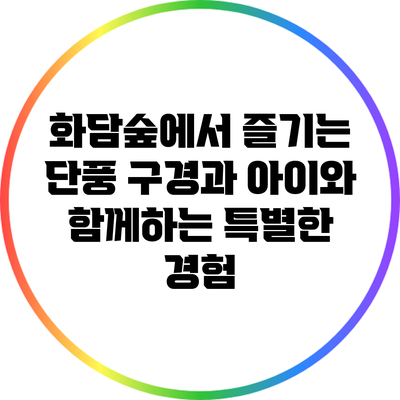 화담숲에서 즐기는 단풍 구경과 아이와 함께하는 특별한 경험