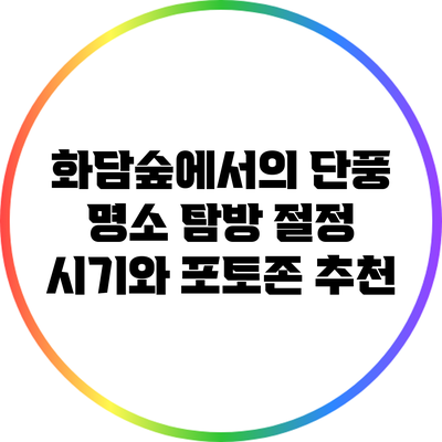 화담숲에서의 단풍 명소 탐방: 절정 시기와 포토존 추천