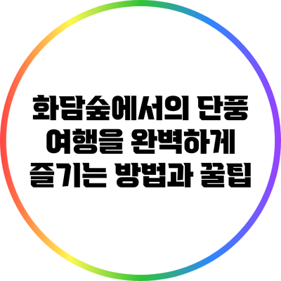 화담숲에서의 단풍 여행을 완벽하게 즐기는 방법과 꿀팁