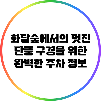 화담숲에서의 멋진 단풍 구경을 위한 완벽한 주차 정보