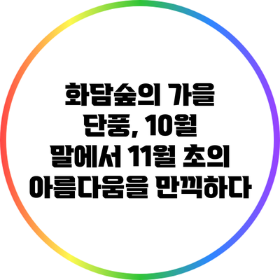 화담숲의 가을 단풍, 10월 말에서 11월 초의 아름다움을 만끽하다