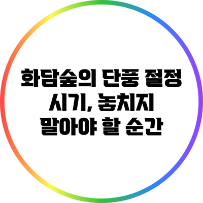 화담숲의 단풍 절정 시기, 놓치지 말아야 할 순간