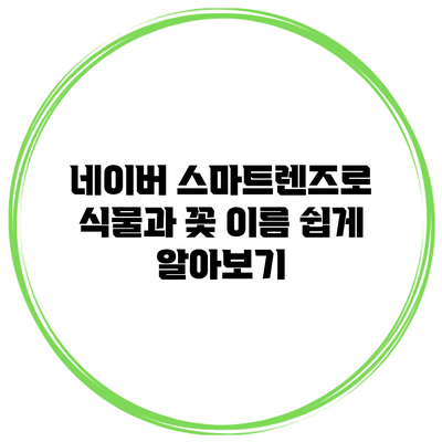 네이버 스마트렌즈로 식물과 꽃 이름 쉽게 알아보기