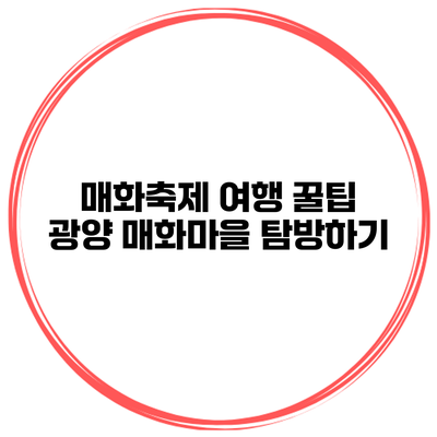 매화축제 여행 꿀팁 광양 매화마을 탐방하기