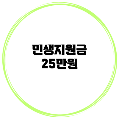 민생지원금 25만원