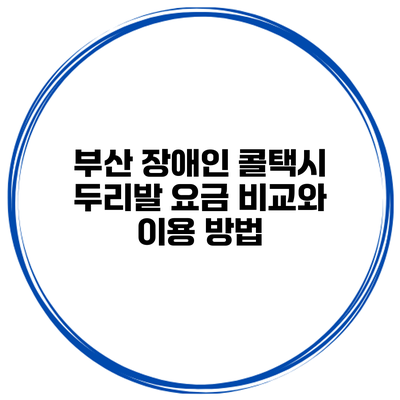 부산 장애인 콜택시 두리발 요금 비교와 이용 방법